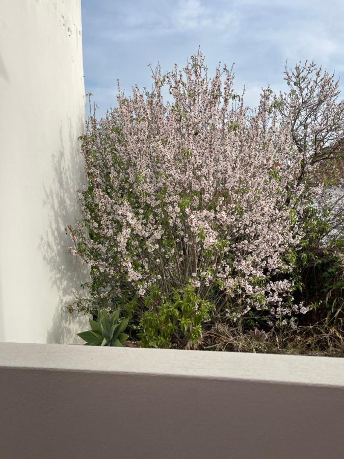 Casa Da Aldeia - Guest House Odiáxere Extérieur photo